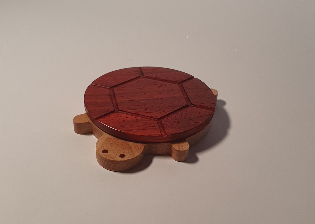 Turtle coaster