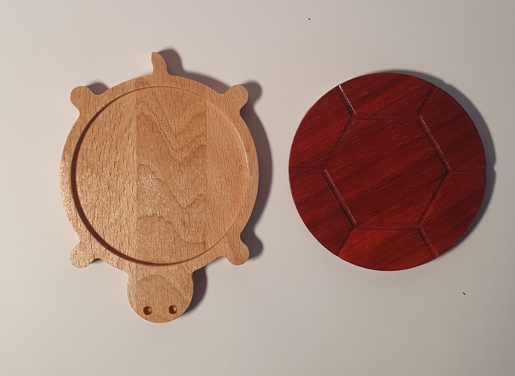 Turtle coaster