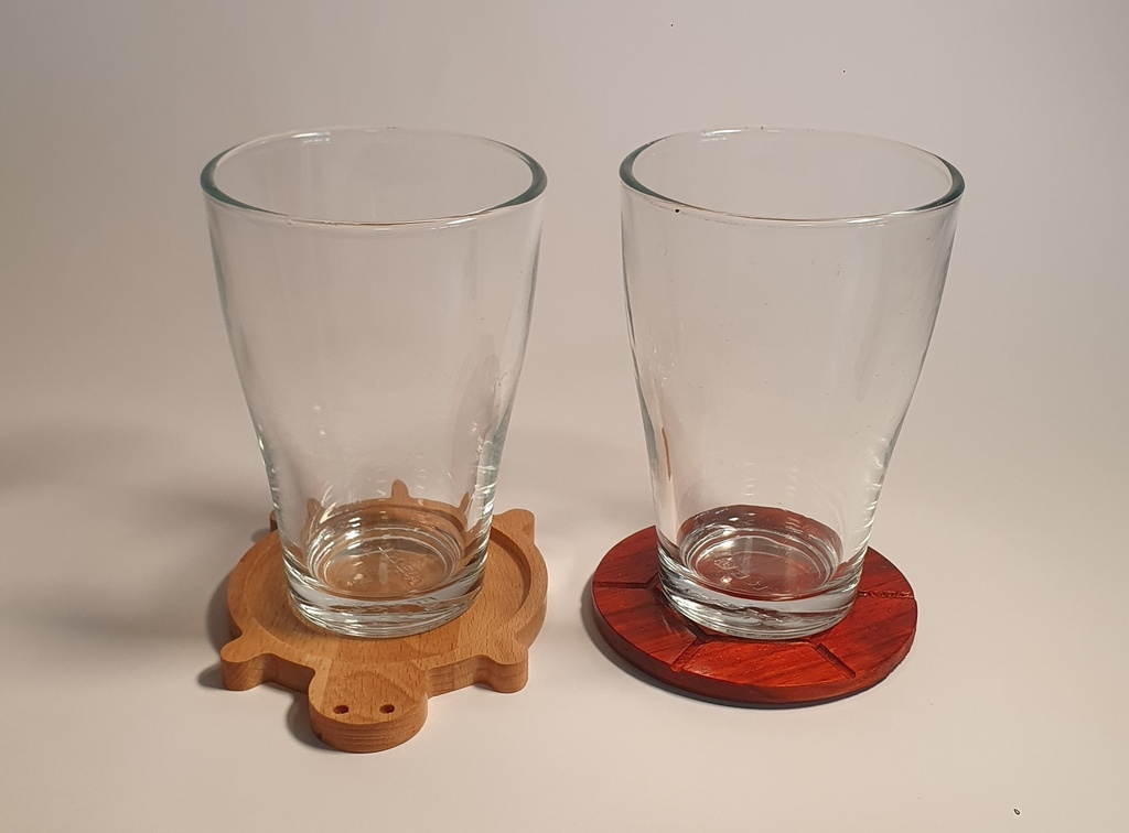 Turtle coaster
