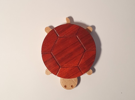 Turtle coaster